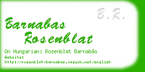 barnabas rosenblat business card