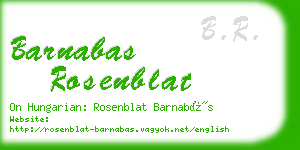 barnabas rosenblat business card